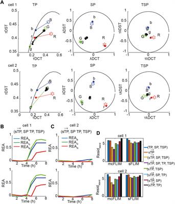 Single-Cell Biochemical Multiplexing by Multidimensional Phasor Demixing and Spectral Fluorescence Lifetime Imaging Microscopy